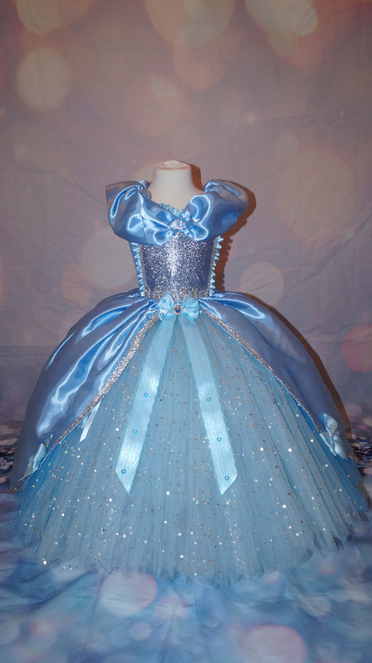 Disney Princess Blue and Silver Cinderella Tutu Dress
