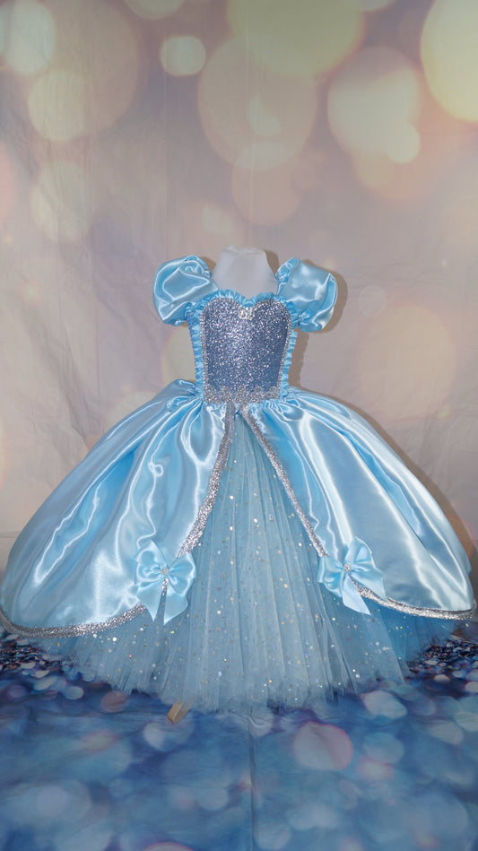 Disney Princess Blue Cinderella Tutu Dress